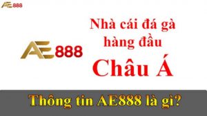 Những điều quan trọng về nhà cái AE888
