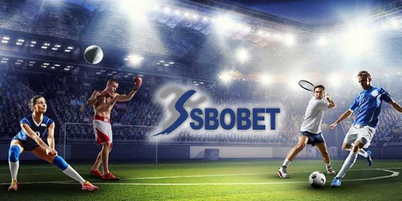Sảnh thể thao nhà cái Sbobet mang đến nhiều trải nghiệm thú vị